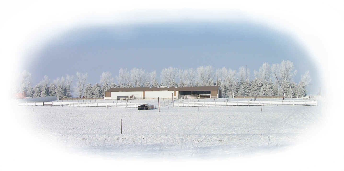 salebarn color